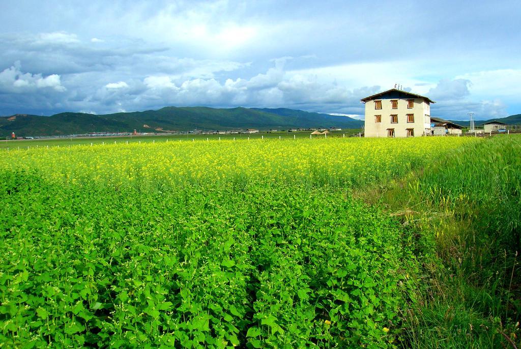 Shangri-La Lao Shay Youth Hostel Kültér fotó