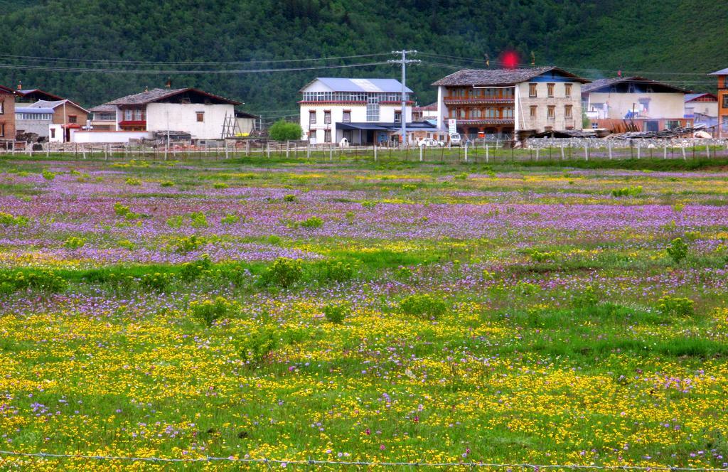 Shangri-La Lao Shay Youth Hostel Kültér fotó