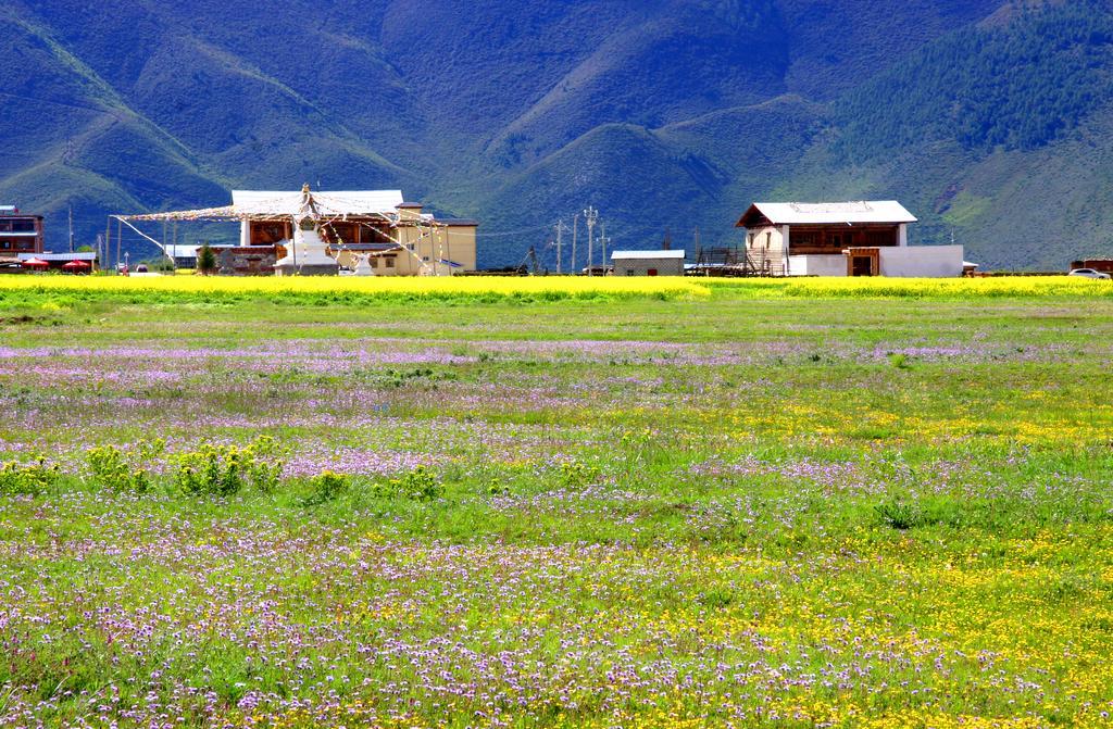 Shangri-La Lao Shay Youth Hostel Kültér fotó